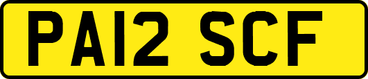 PA12SCF