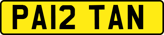 PA12TAN