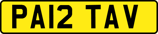 PA12TAV