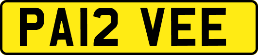 PA12VEE