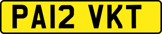 PA12VKT