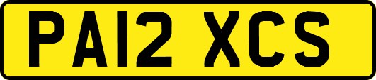 PA12XCS