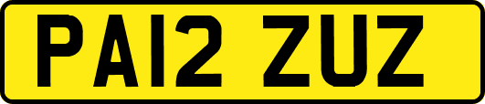 PA12ZUZ