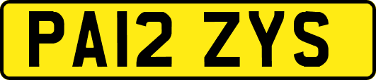 PA12ZYS