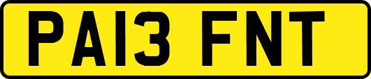 PA13FNT