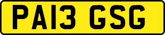 PA13GSG
