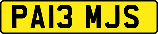 PA13MJS