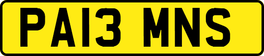 PA13MNS