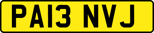 PA13NVJ