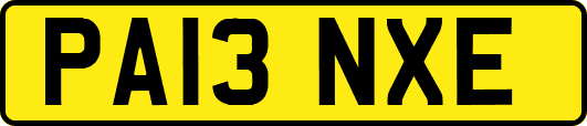 PA13NXE