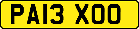 PA13XOO