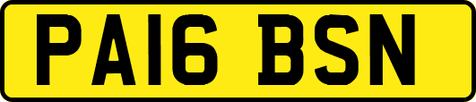 PA16BSN