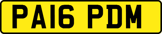 PA16PDM