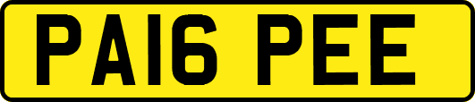 PA16PEE