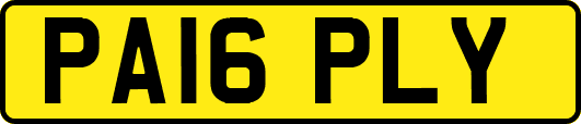 PA16PLY