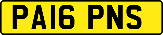 PA16PNS