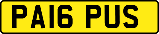 PA16PUS