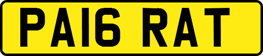PA16RAT