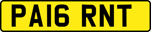 PA16RNT