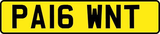 PA16WNT