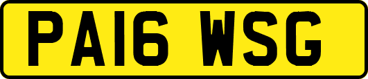 PA16WSG