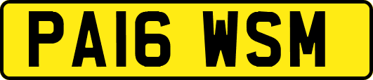 PA16WSM