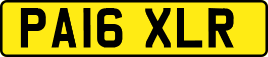 PA16XLR