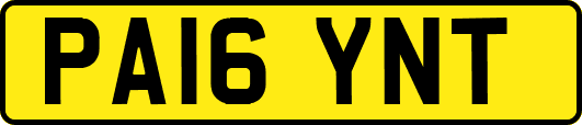 PA16YNT