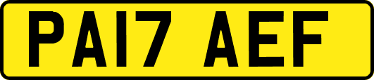 PA17AEF