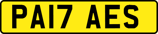 PA17AES