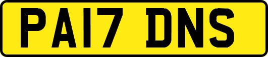 PA17DNS
