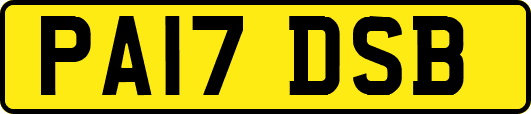 PA17DSB