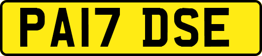 PA17DSE