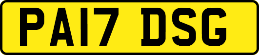 PA17DSG
