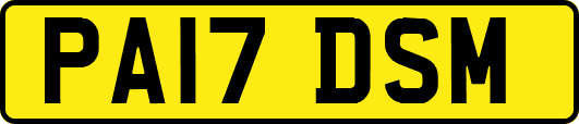 PA17DSM