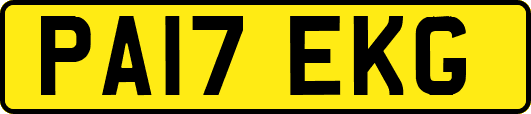 PA17EKG
