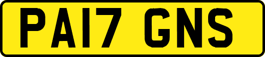 PA17GNS