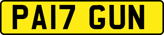 PA17GUN