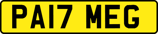 PA17MEG
