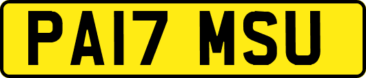PA17MSU