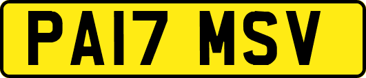 PA17MSV
