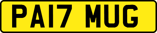 PA17MUG