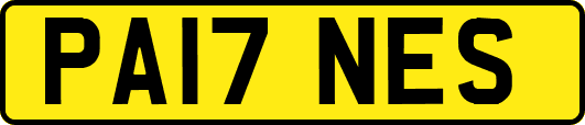 PA17NES