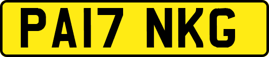 PA17NKG