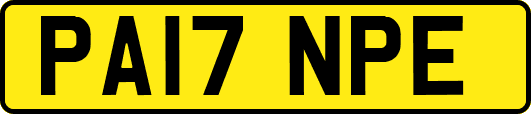 PA17NPE