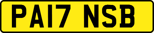 PA17NSB