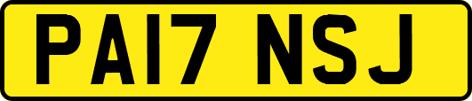 PA17NSJ