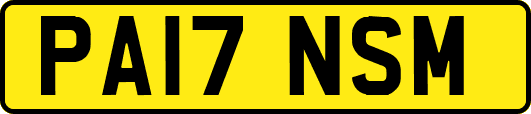 PA17NSM