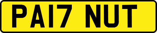 PA17NUT