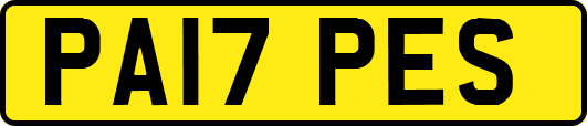 PA17PES
